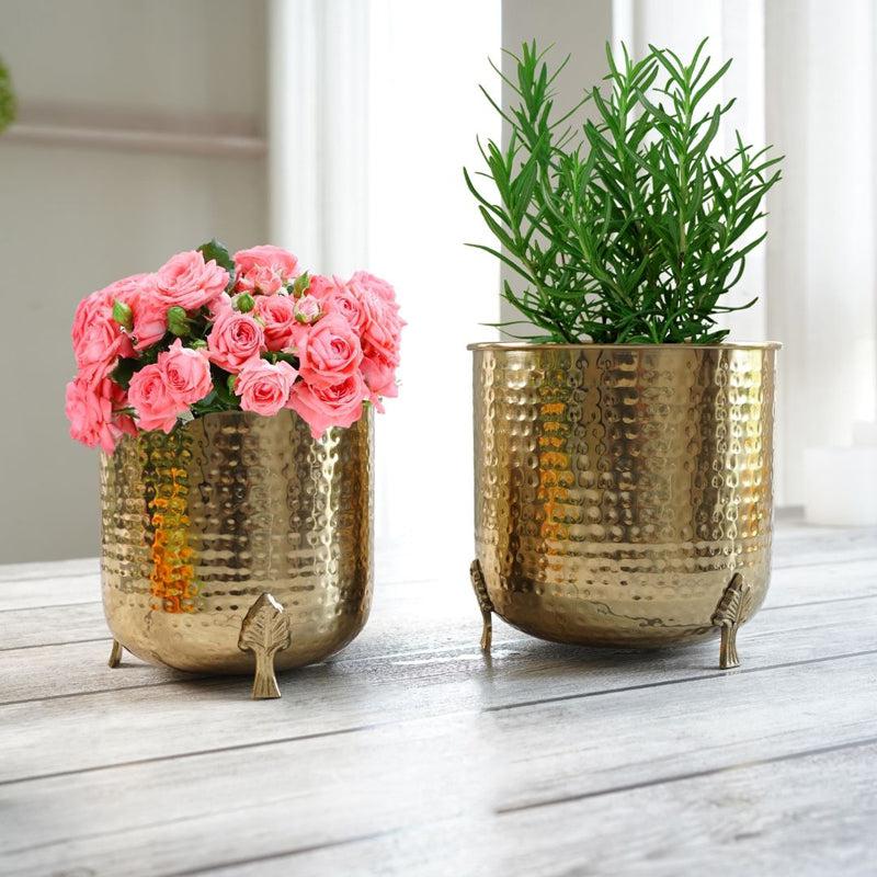 Buy Finasa Metal Hammered Planter (Gold) - Set Of Two Pots & Planters from Vaaree