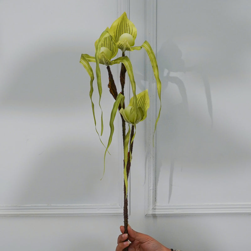 Buy Faux Paphion Orchid Flower Stick (Green) - 31 CM Artificial Flowers from Vaaree