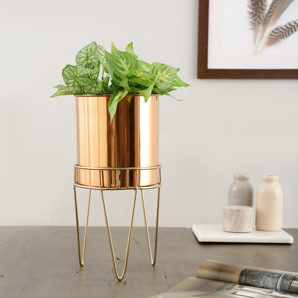 Buy Zenva Stainless Steel Planter - Copper & Gold Pots & Planters from Vaaree