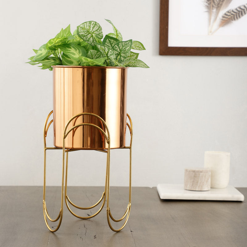 Buy Vyra Stainless Steel Planter - Copper & Gold Pots & Planters from Vaaree