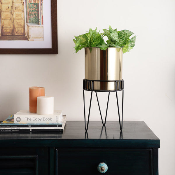 Buy Zenva Stainless Steel Planter - Gold & Black Pots & Planters from Vaaree