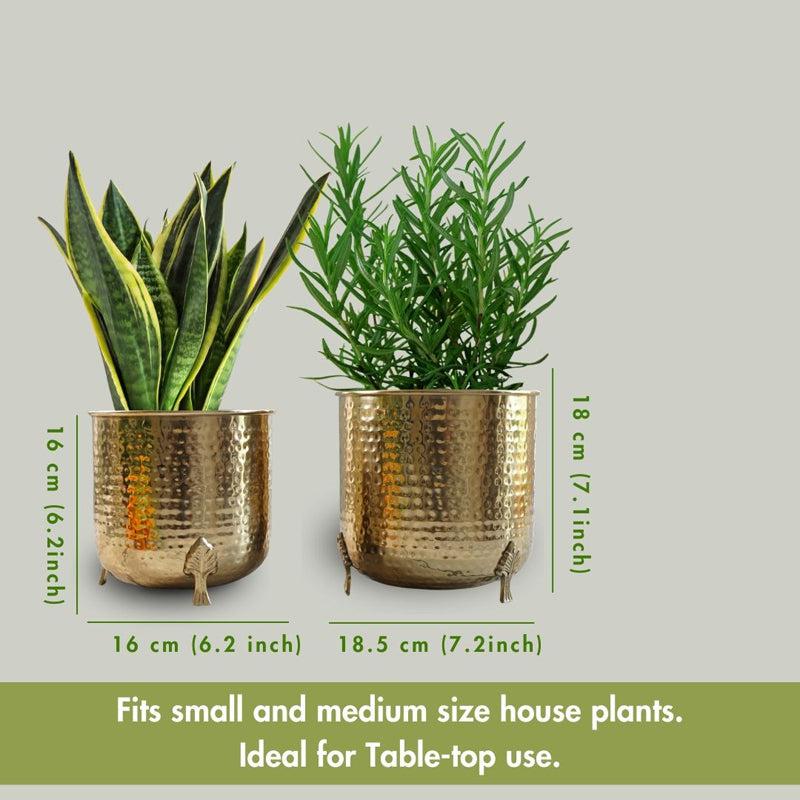 Buy Finasa Metal Hammered Planter (Gold) - Set Of Two Pots & Planters from Vaaree