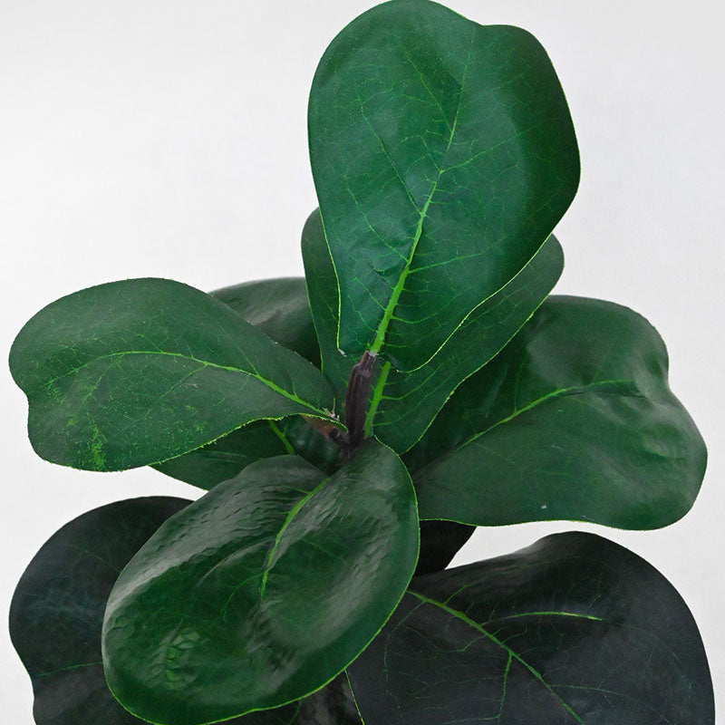 Buy Faux Everlasting Fiddle-Leaf Fig Plant With Pot - 28 cms Artificial Plants from Vaaree