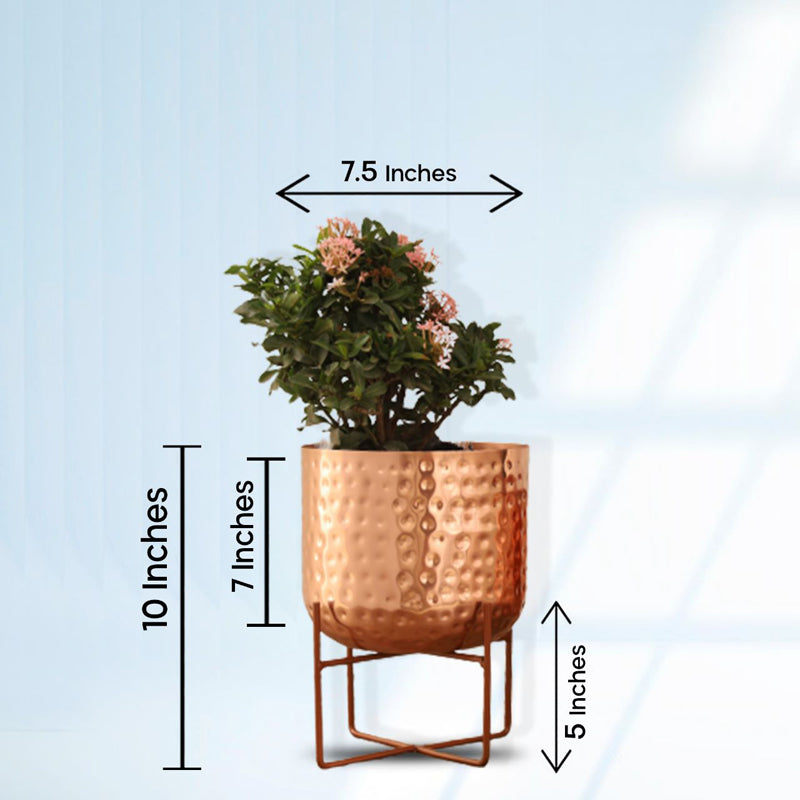 Buy Zeren Olive Hammered Planter - Rose Gold Pots & Planters from Vaaree