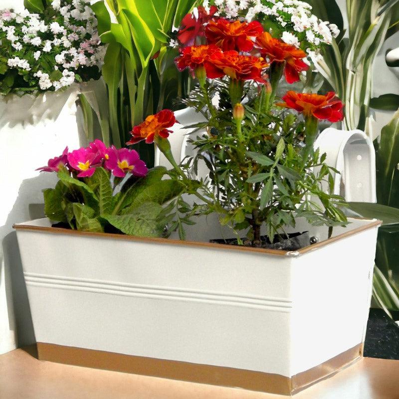 Buy Adro Planter (White) - Set Of Three Pots & Planters from Vaaree