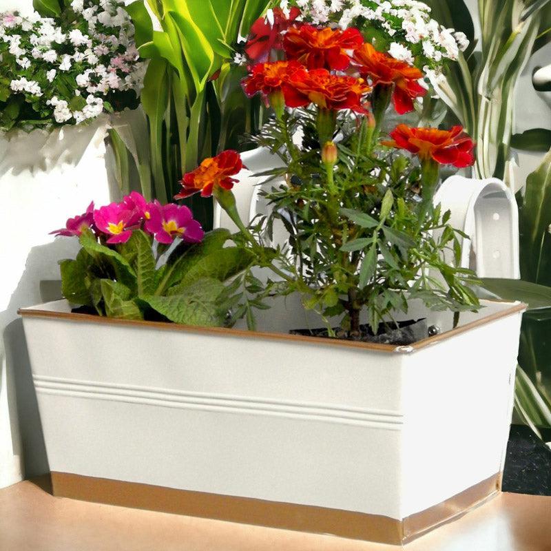 Buy Adro Planter - White Pots & Planters from Vaaree