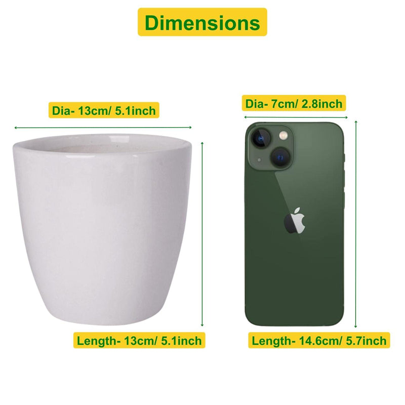 Buy Alva White Planter Pots & Planters from Vaaree