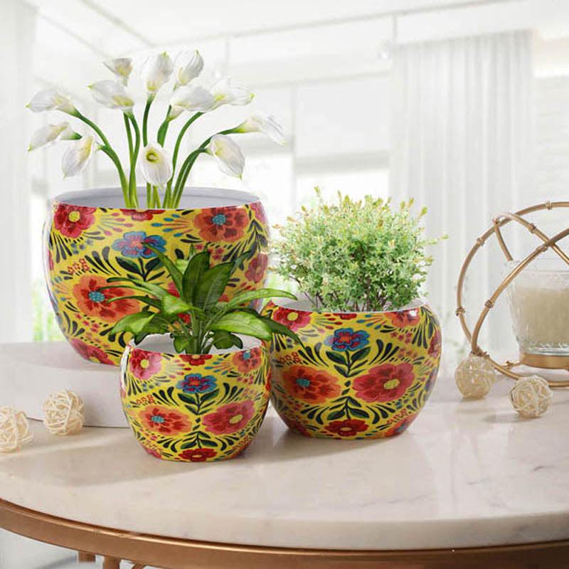 Buy Adni Ethnic Handcrafted Planter - Set Of Three Pots & Planters from Vaaree