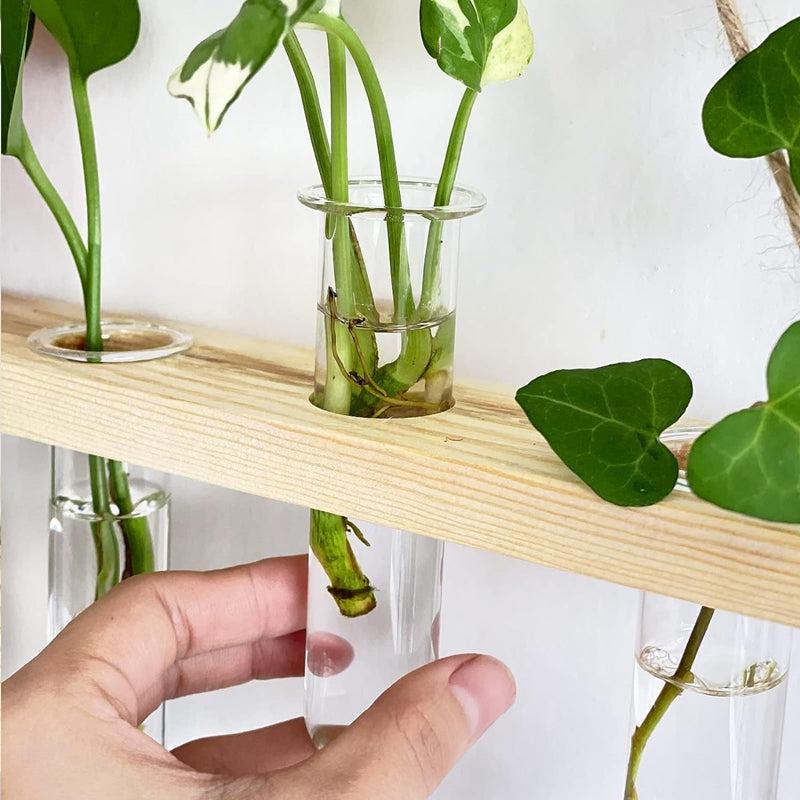 Buy Arana Hanging Test Tube Planter Pots & Planters from Vaaree