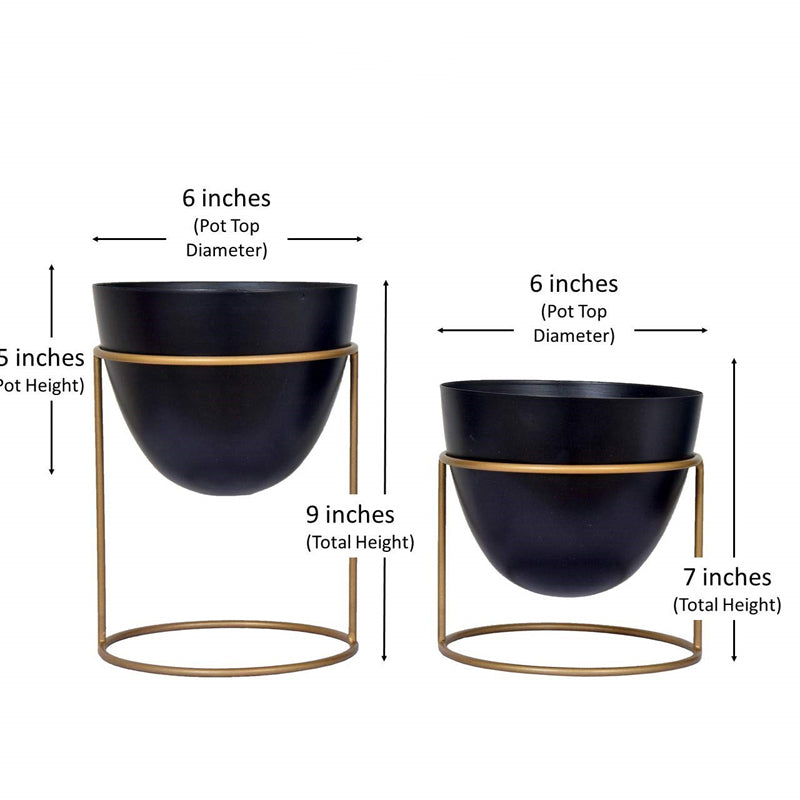 Buy Trudene Metal Pot With Stand (Black & Gold) - Set Of Two Pots & Planters from Vaaree