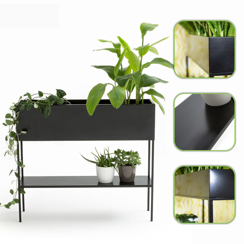 Buy Lumia Rectangle Planter Pots & Planters from Vaaree