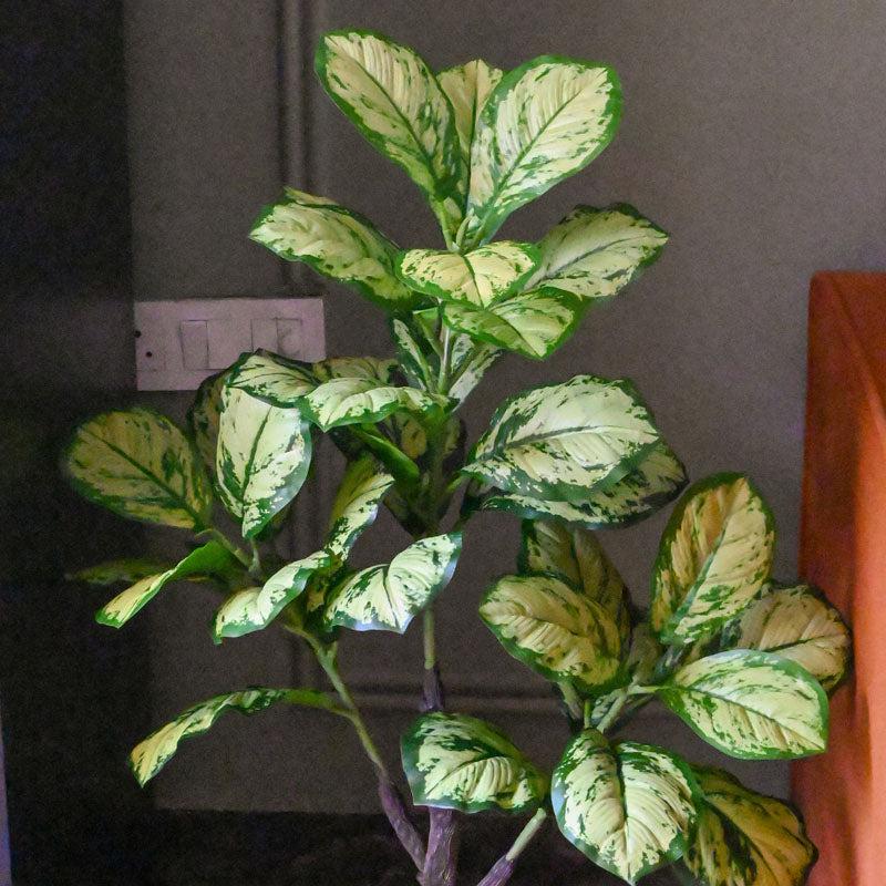 Buy Faux Everlasting Dieffenbachia Honeydew Plant With Pot - 3.2 Feet Artificial Plants from Vaaree