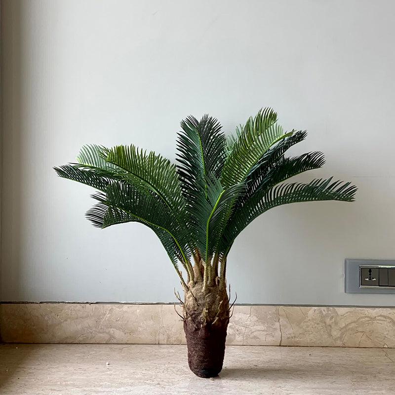 Buy Faux Cycas Plant - 2 Feet Artificial Plants from Vaaree