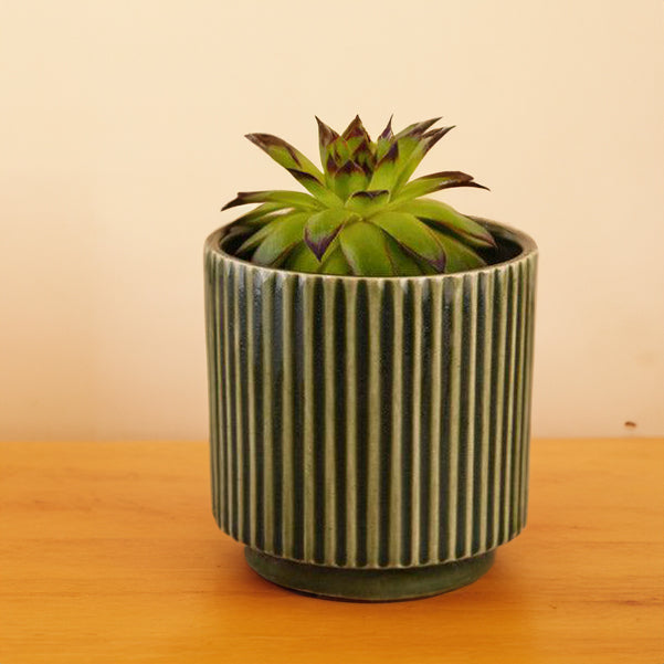 Buy Ahanay Ribbed Planter (Olive Green) -Single Piece Pots & Planters from Vaaree