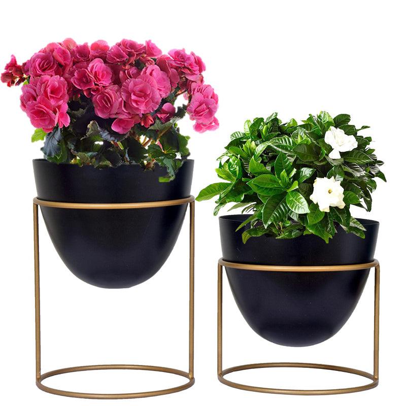 Buy Trudene Metal Pot With Stand (Black & Gold) - Set Of Two Pots & Planters from Vaaree