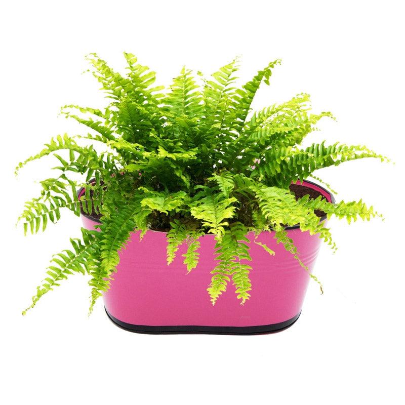 Buy Blossom Nest Planter (Pink) - Set Of Three Pots & Planters from Vaaree