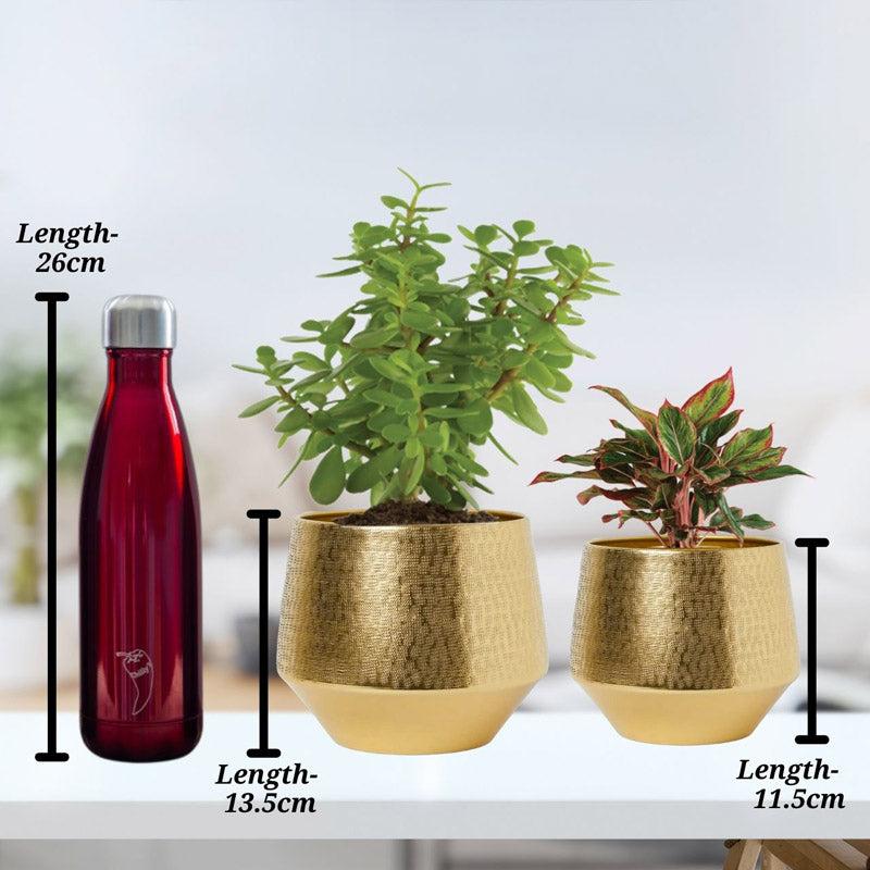 Buy Arrota Gold Planter - Set Of Two Pots & Planters from Vaaree