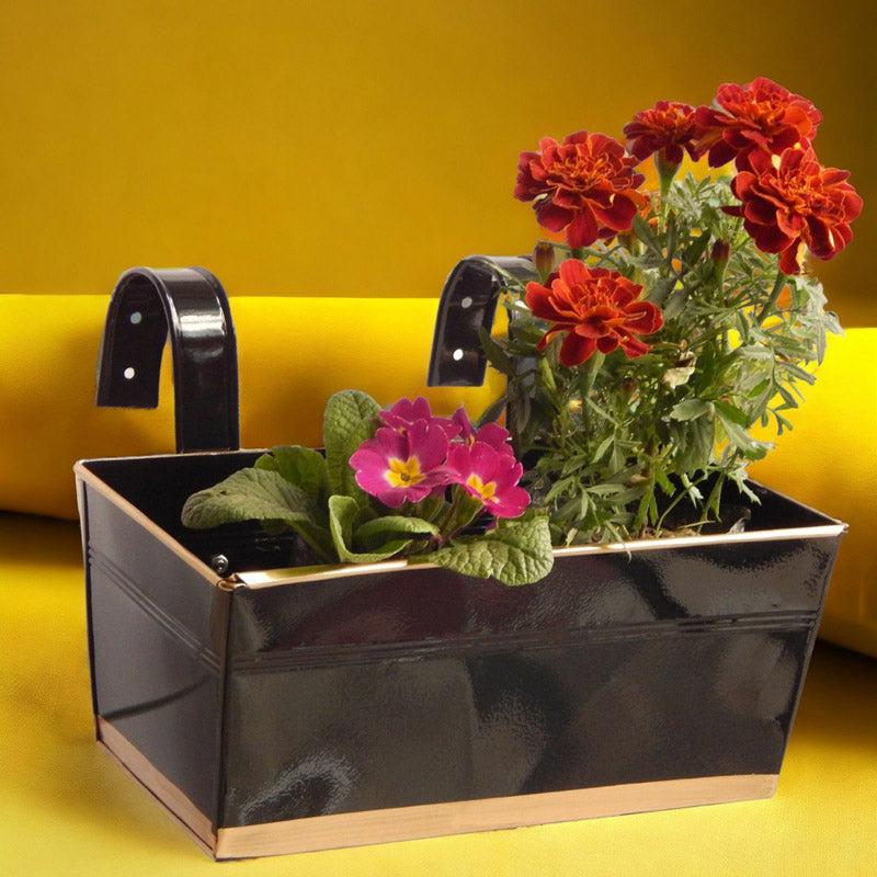 Buy Adro Planter - Black Pots & Planters from Vaaree