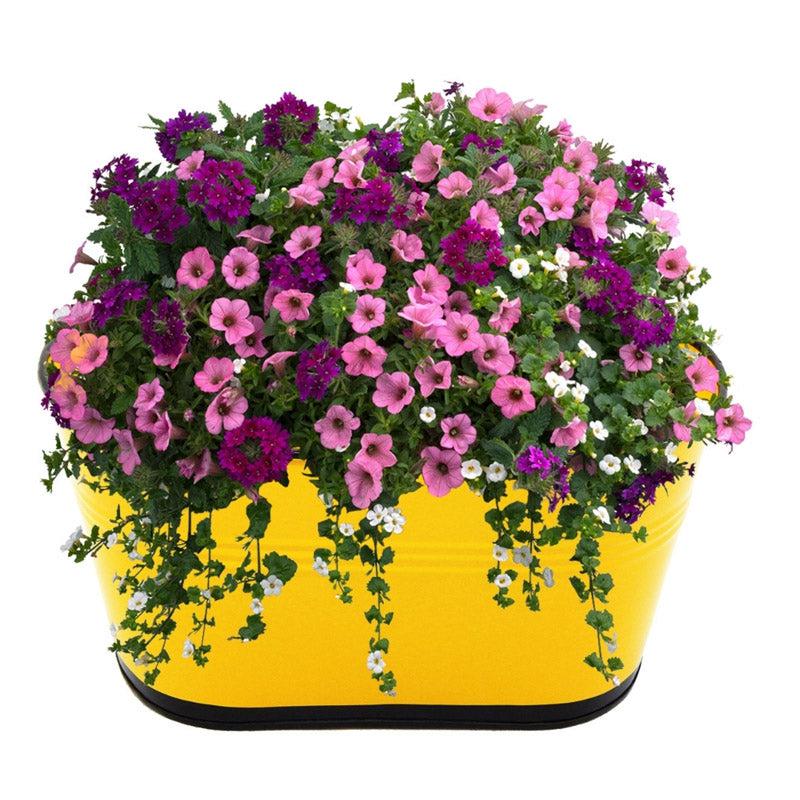 Buy Blossom Nest Planter (Yellow) - Set Of Three Pots & Planters from Vaaree