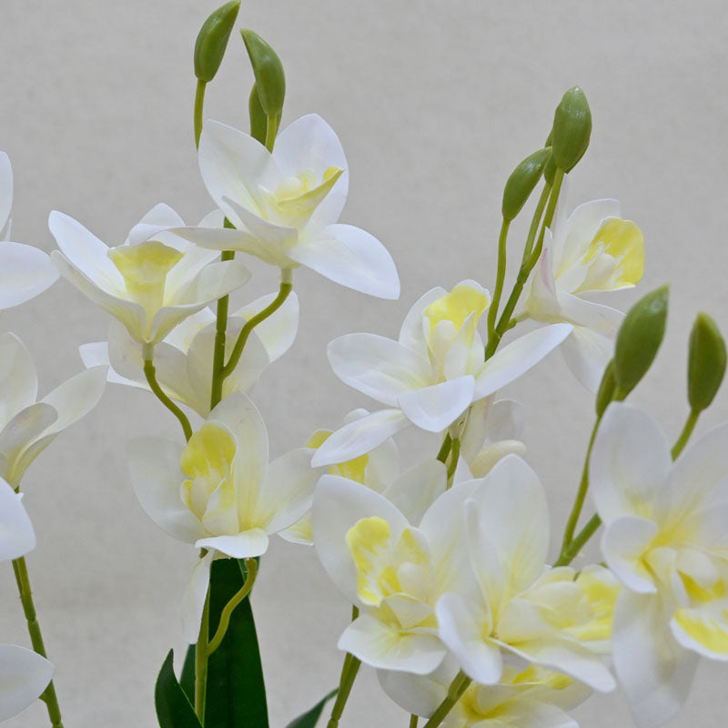 Buy Faux Everlasting Cymbidium Everlasting Orchid Flower Stick - White Artificial Flowers from Vaaree