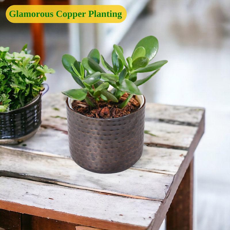 Buy Marya Copper Planter Pots & Planters from Vaaree