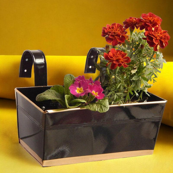 Buy Adro Planter (Black) - Set Of Three Pots & Planters from Vaaree