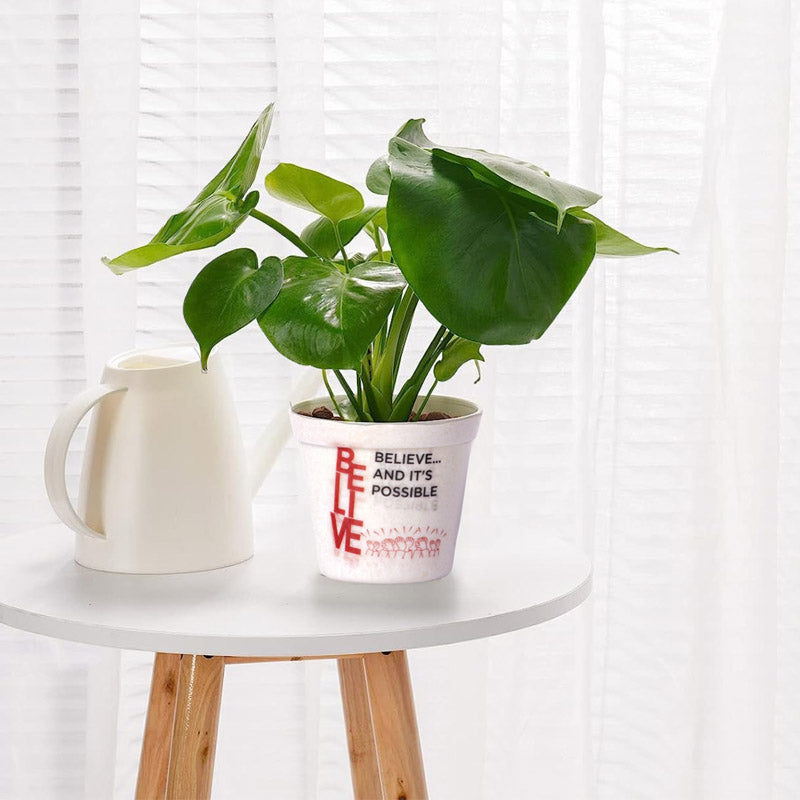 Buy Believe White Planter Pots & Planters from Vaaree