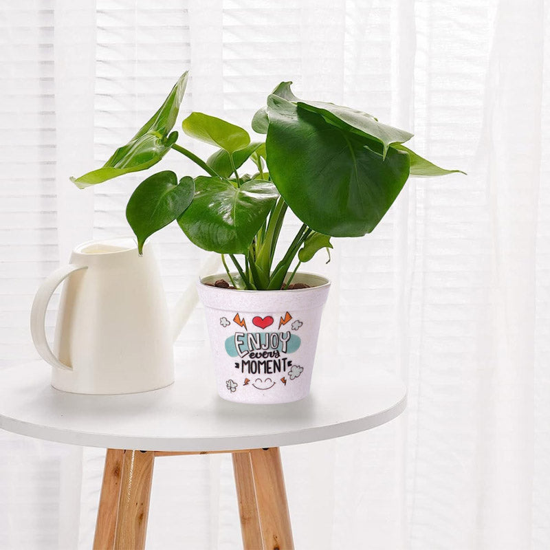 Buy Enjoy Every Moment Planter Pots & Planters from Vaaree