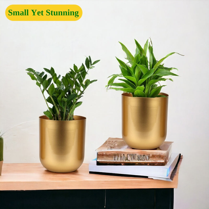 Buy Ruba Neita Planter (Gold) - Set Of Two Pots & Planters from Vaaree