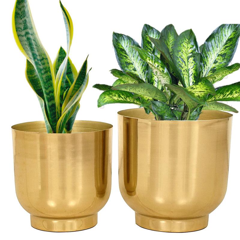 Buy Bromo Metal Planter (Gold) - Set Of Two Pots & Planters from Vaaree