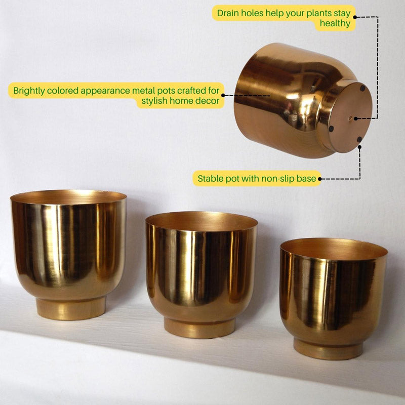 Buy Nishma Golden Planter - Set Of Three Pots & Planters from Vaaree