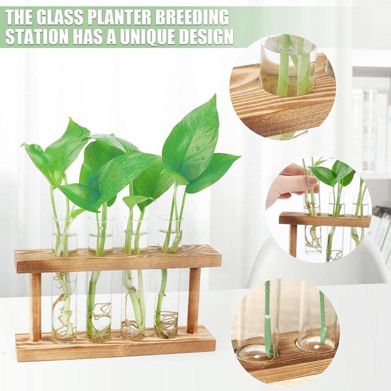 Buy Elden Test Tube Planter - Set Of Four Pots & Planters from Vaaree