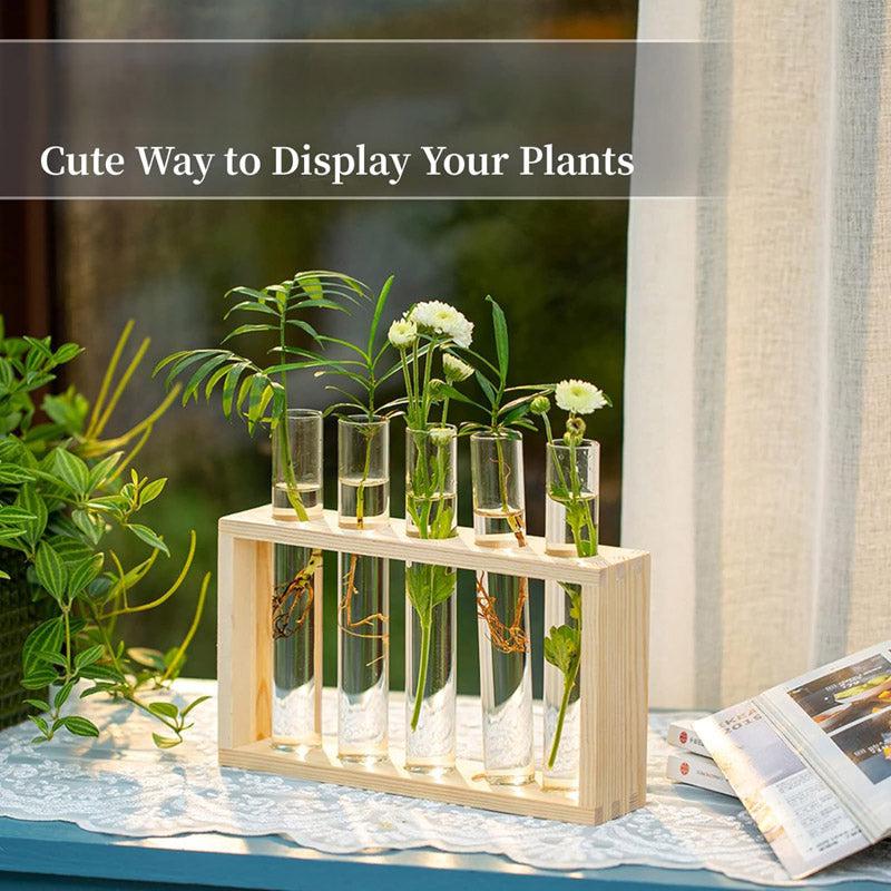 Buy Ana Test Tube Planter - Set Of Four Pots & Planters from Vaaree