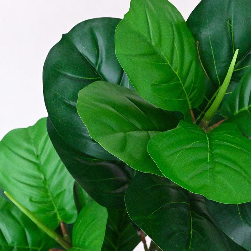 Buy Faux Everlasting Fiddle-Leaf Fig Plant With Pot - 2.5 Feet Artificial Plants from Vaaree