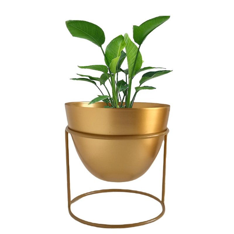 Buy Trudene Metal Pot With Stand - Gold Pots & Planters from Vaaree