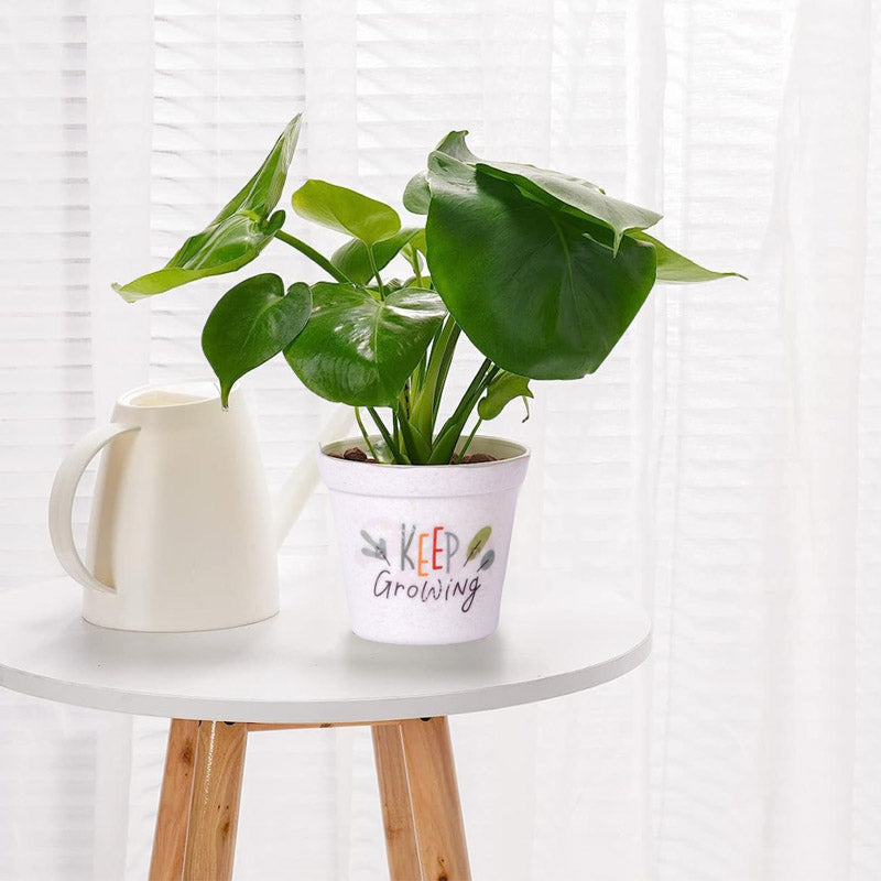 Buy Keep Growing White Planter Pots & Planters from Vaaree