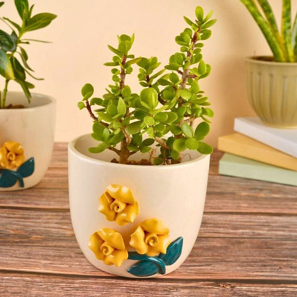 Mellow Rose Planter - Set Of Two