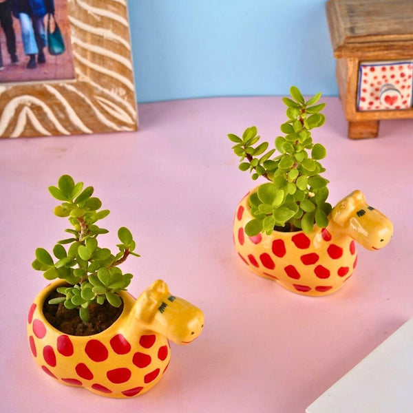 Baby Giraffe Planter - Set Of Two