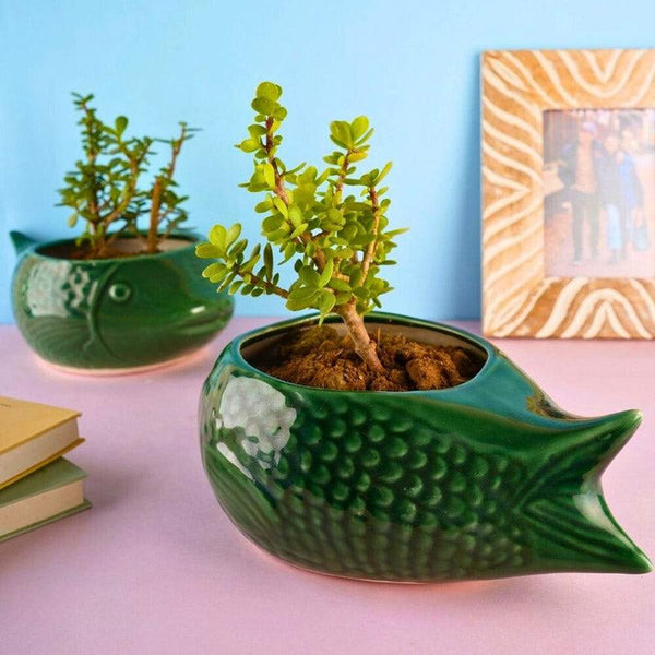 Buy Catfish Green Planter Pots & Planters from Vaaree