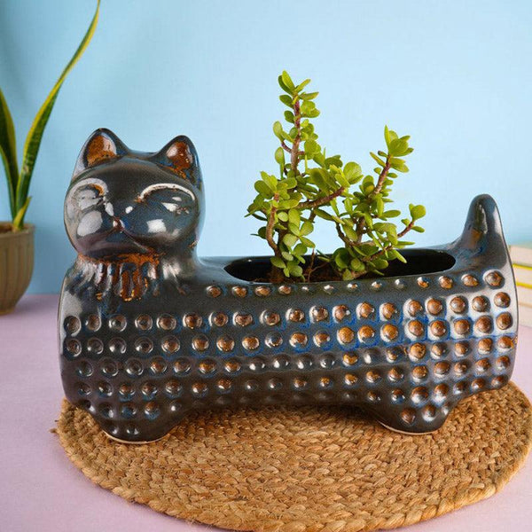 Buy Catto Pose Planter - Blue Pots & Planters from Vaaree