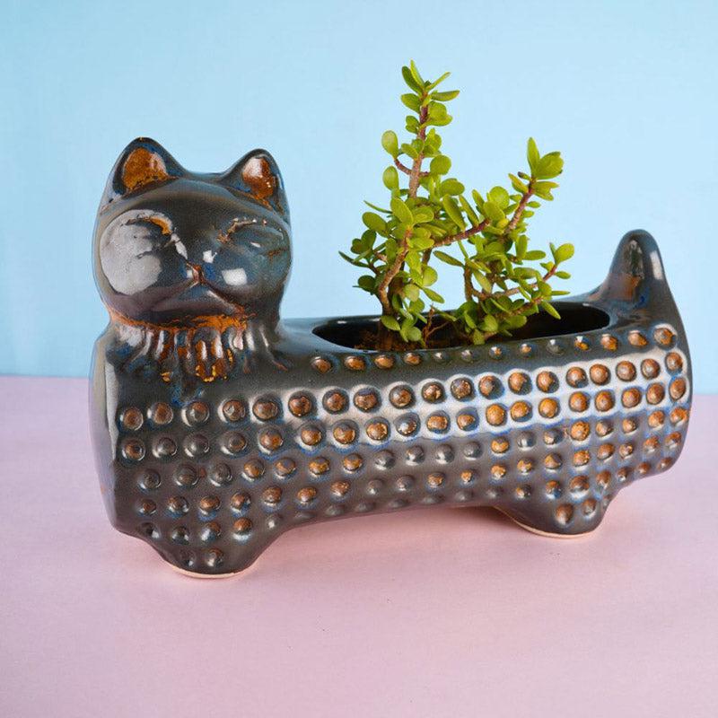 Buy Catto Pose Planter - Blue Pots & Planters from Vaaree