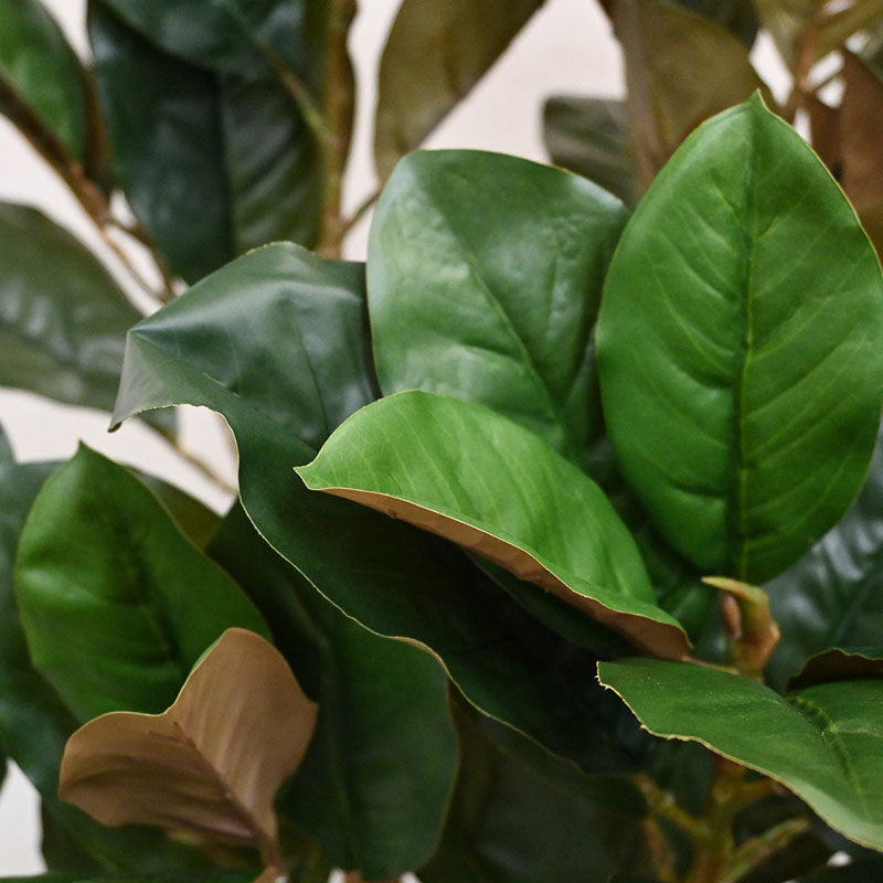 Buy Faux Everlasting Rubber Tree With Pot - 3.7 Feet Artificial Plants from Vaaree