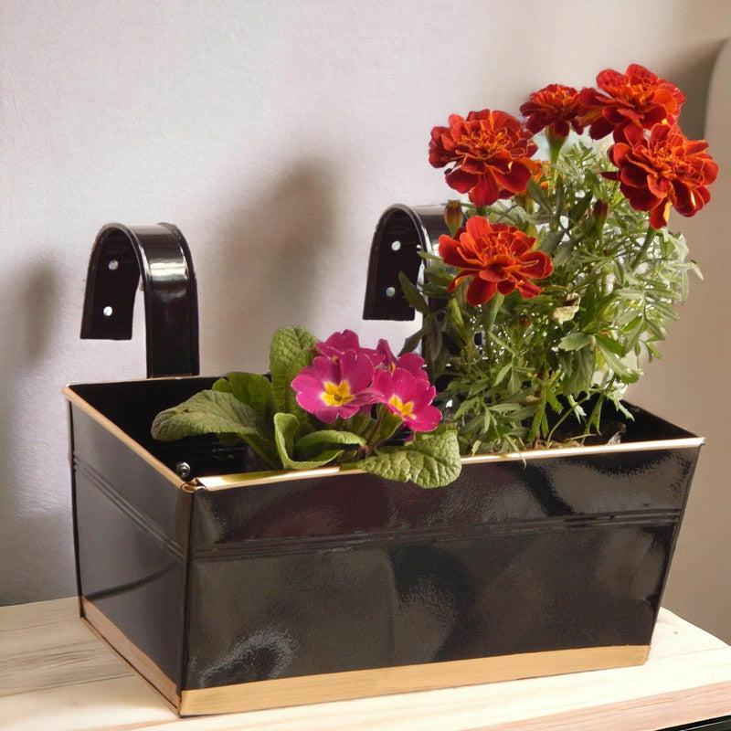 Buy Adro Planter (Black) - Set Of Three Pots & Planters from Vaaree