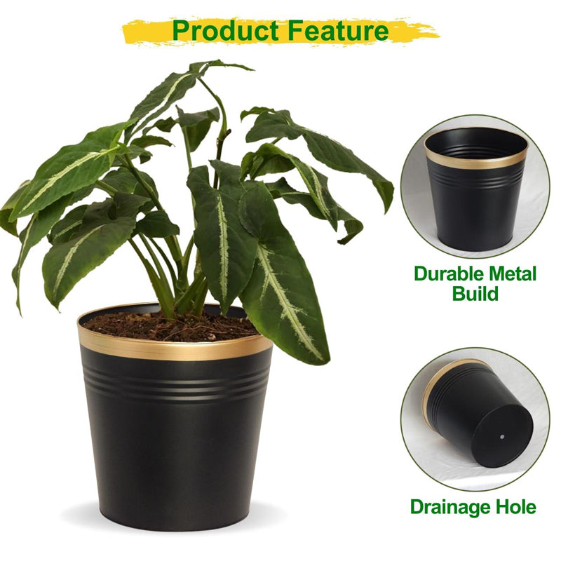 Buy Elno Dola Planter (Black) - Set Of Three Pots & Planters from Vaaree