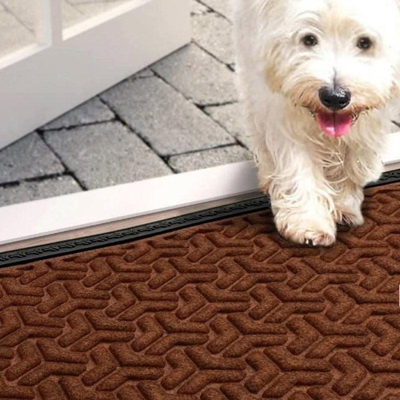 Buy Maxo Antiskid Doormat - Brown Rugs from Vaaree