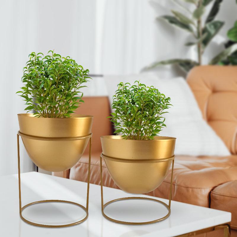 Buy Trudene Metal Pot With Stand (Gold) - Set Of Two Pots & Planters from Vaaree