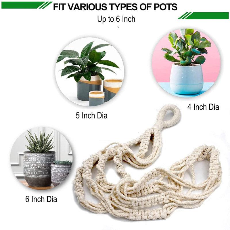 Buy Neyna Macramme Planter - Set Of Five Pots & Planters from Vaaree