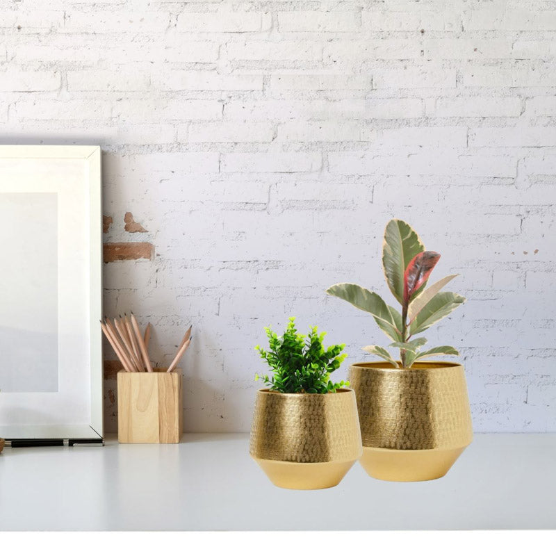 Buy Arrota Gold Planter - Set Of Two Pots & Planters from Vaaree