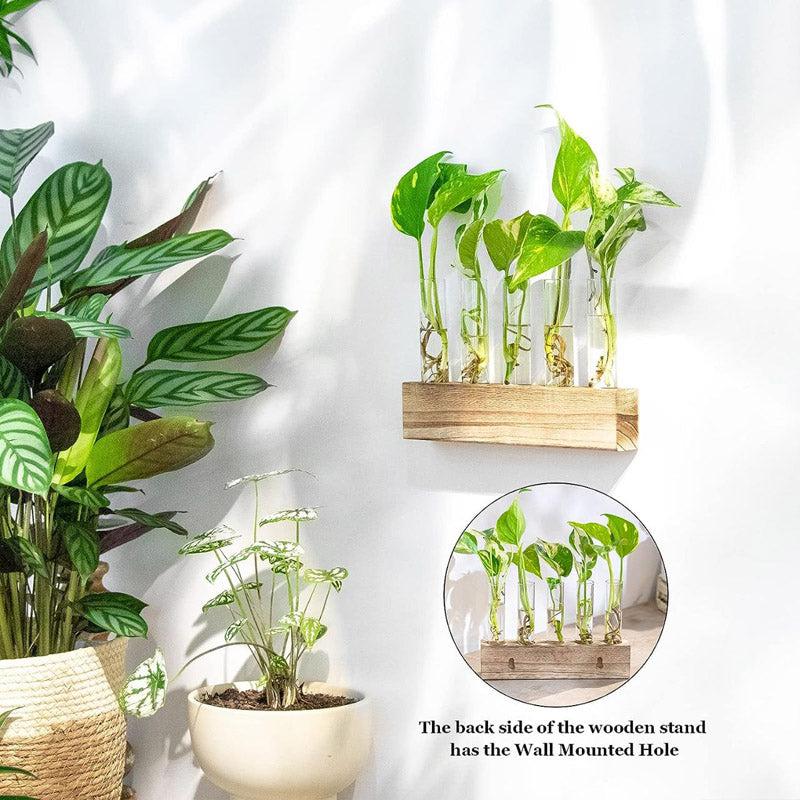 Buy Izar Test Tube Planter - Set Of Five Pots & Planters from Vaaree