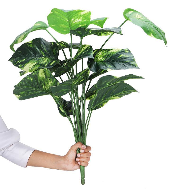 Buy Faux Botanic Money Plant - 2 Feet Artificial Plants from Vaaree